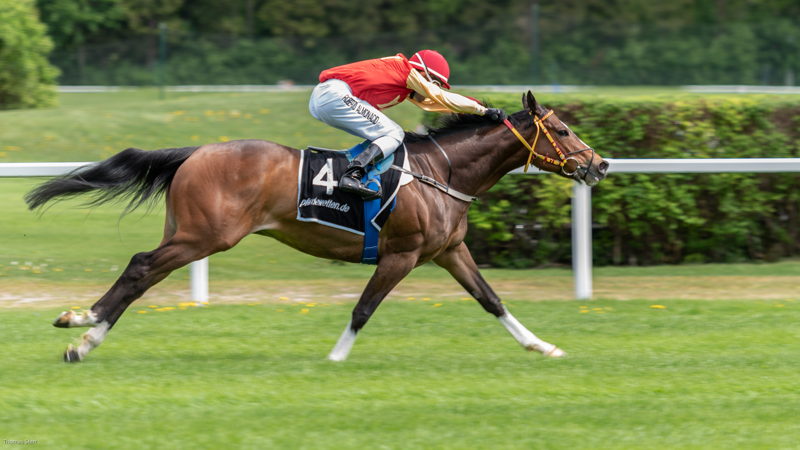 Galopprennen München Riem Mai 2018